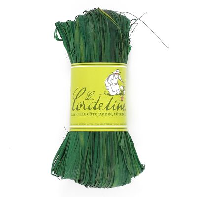 Raffia Coloris Mint 50g