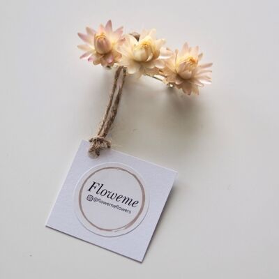 Horquilla de flores secas | horquilla floral | Accesorio para el cabello | Blanco / Rosa bebé | Pequeña