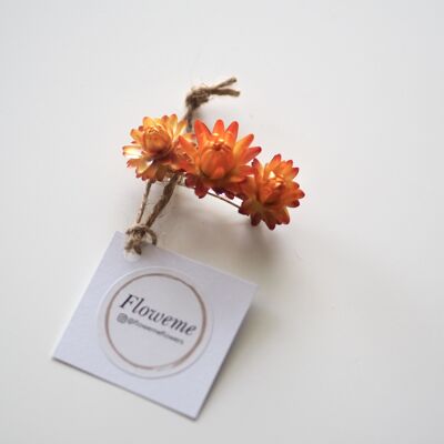 Getrocknete Blume Haarspange | Blumenhaarnadel | Haarschmuck | Orange / Gelb | Klein