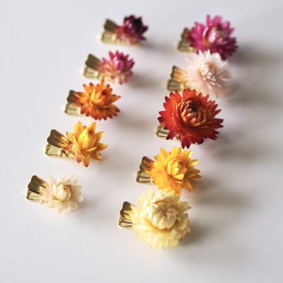 Getrocknete Blumen-Clip | Blume Büroklammer | Klein