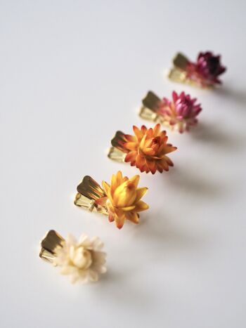Clip de fleurs séchées | Trombone Fleur | Petit 4