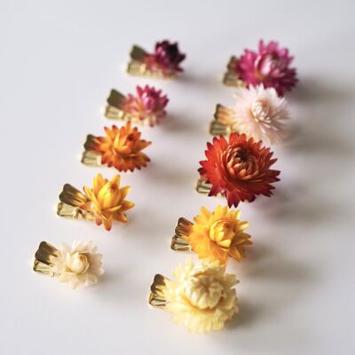 Getrocknete Blumen-Clip | Blume Büroklammer | Groß