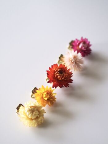 Clip de fleurs séchées | Trombone Fleur | Grand 4