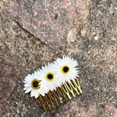 Pettine di fiori secchi | Pettine floreale | Accessorio per capelli | Bianco