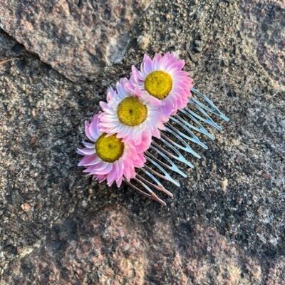 Peigne de fleurs séchées | Peigne à cheveux floral | Accessoire cheveux | Rose