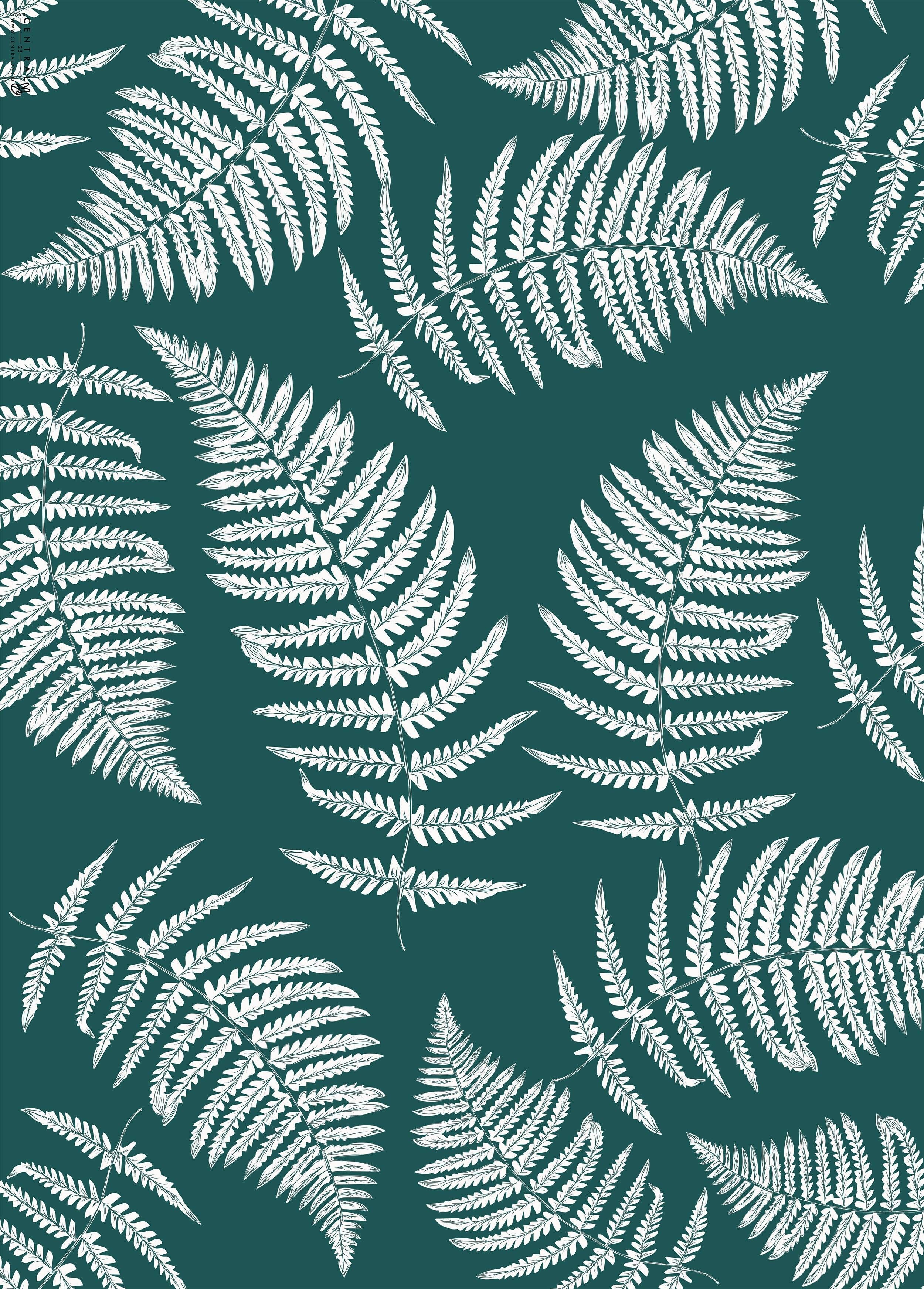 Carta da regalo con foglie di felce verde | Riciclabile, prodotto nel Regno Unito