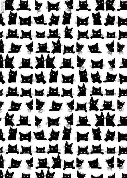 Black Cat Wrapping Paper | Recyclable, Made in UK
