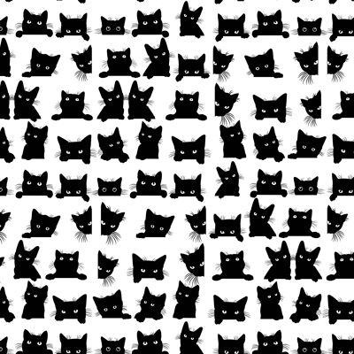 Papel de regalo de gato negro | Reciclable, fabricado en el Reino Unido.