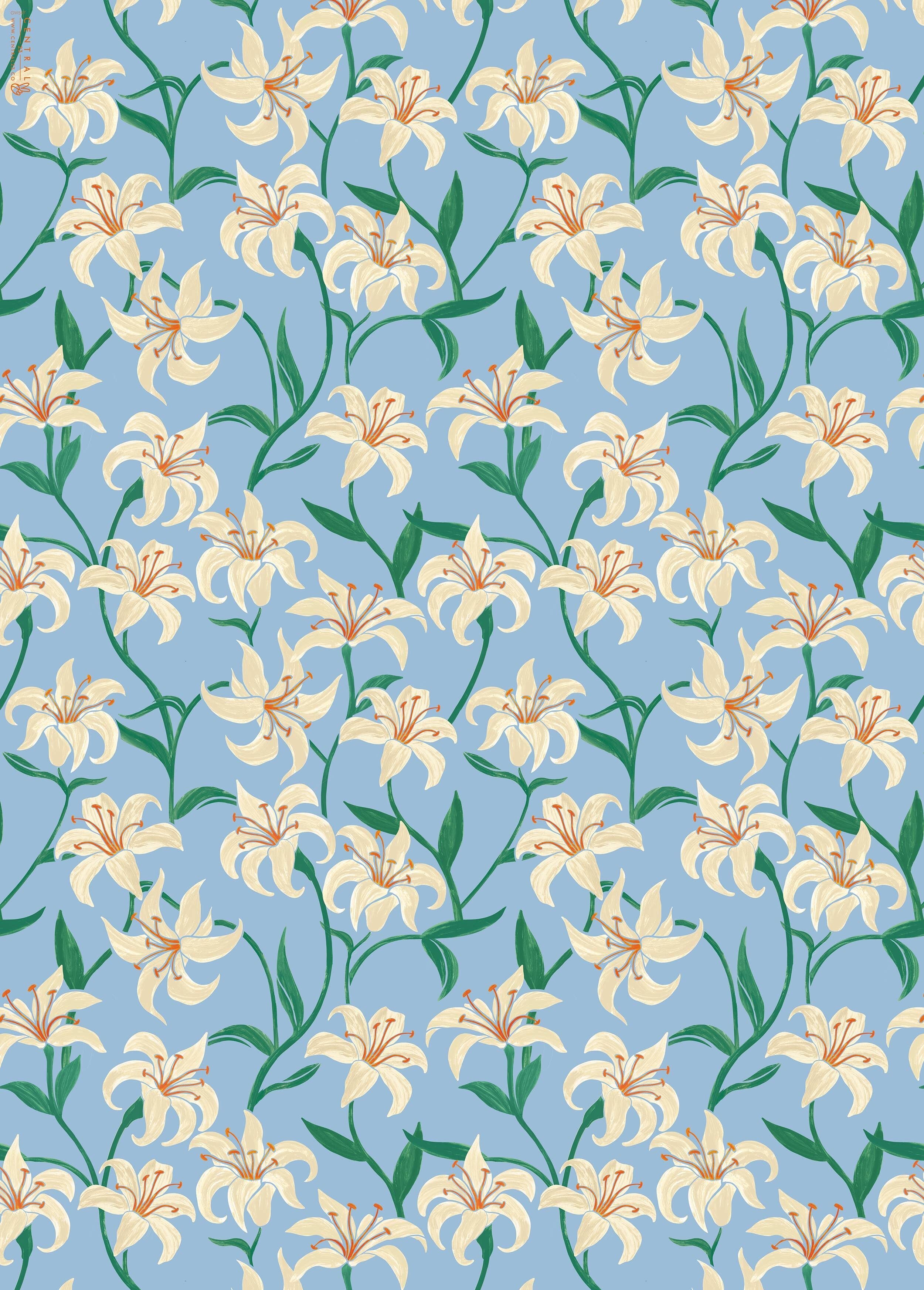 Gigli Carta Da Imballaggio | Riciclabile, prodotto nel Regno Unito