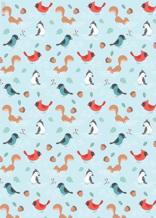 Bird Cartoon Wrapping Paper | Recyclable, Made in UK