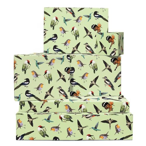 English Birds Wrapping Paper | Recyclable, Made in UK