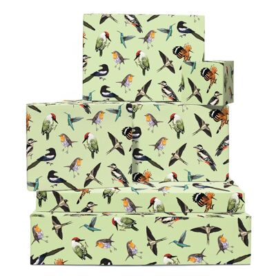 Geschenkpapier der englischen Vögel Einpackpapier | Recycelbar, hergestellt in Großbritannien