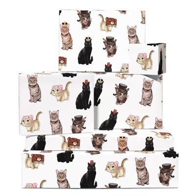Katzen im Hut-Packpapier Einpackpapier | Recycelbar, hergestellt in Großbritannien