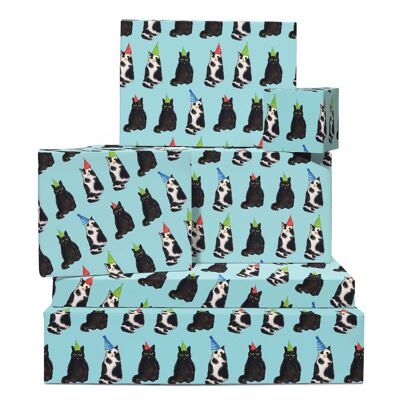 Party-Katzen-Packpapier Einpackpapier | Recycelbar, hergestellt in Großbritannien