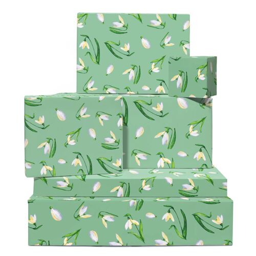 Snowdrop Wrapping Paper | Recyclable, Made in UK