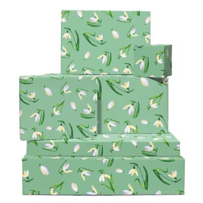 Schneeglöckchen Geschenkpapier | Recycelbar, hergestellt in Großbritannien