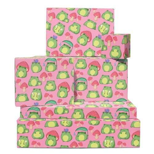 Cute Cartoon Frog Wrapping Paper | Recyclable, Made in UK