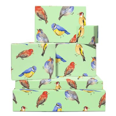 Papel de regalo de pájaros de acuarela | Reciclable, fabricado en el Reino Unido.