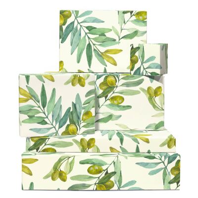 Olive Branch Wrapping Paper | Recyclable, Made in UK
