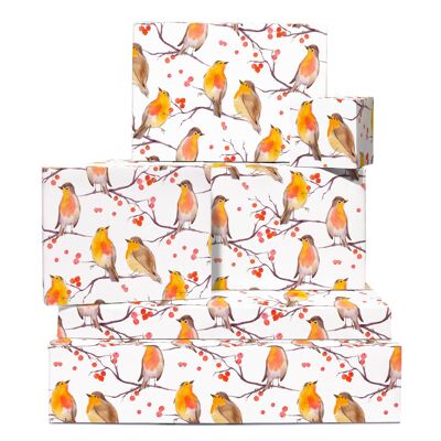 English Robin Wrapping Paper | Recyclable, Made in UK