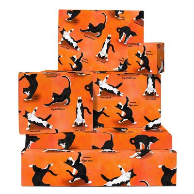 Papier cadeau chats de yoga | Recyclable, fabriqué au Royaume-Uni