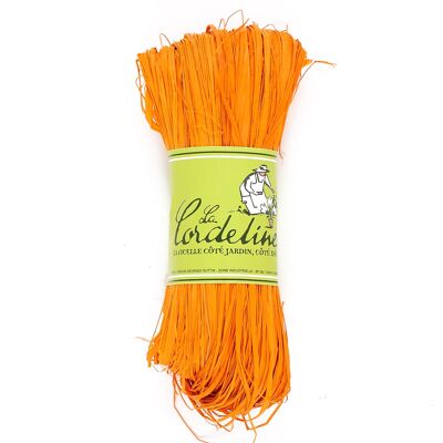 Raphia Coloris Orange Abricot 50g