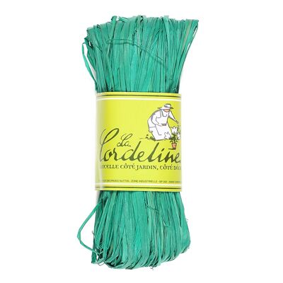 Raffia Coloris Jade 50g