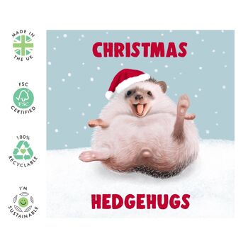 Carte de Noël Hedgehugs de Noël | Respectueux de l'environnement, fabriqué au Royaume-Uni 2