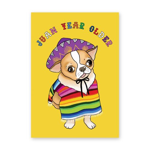 Juan Year Older Punny B-day Card, A6 | Eco-Friendly, UK made