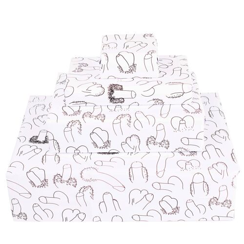 Willy Cheeky Wrapping Paper | Recyclable, Made in UK