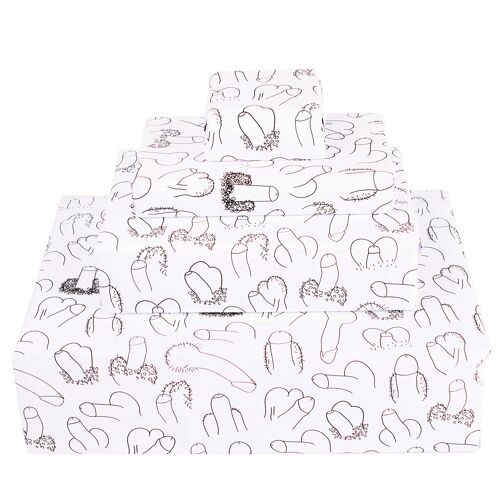 Willy Cheeky Wrapping Paper | Recyclable, Made in UK