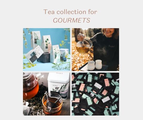 Herbal tea collection for GOURMETS | specialty selection | organic