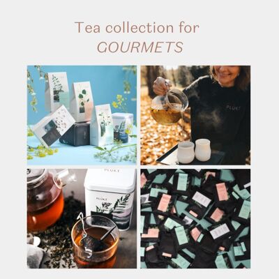 Collezione di tisane per GOURMETS | selezione di specialità | organico