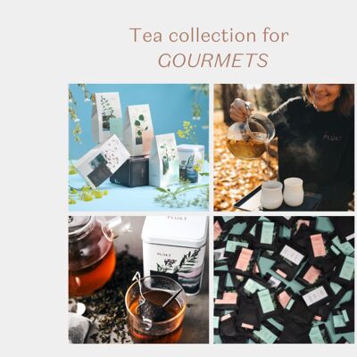 Herbal tea collection for GOURMETS | specialty selection | organic