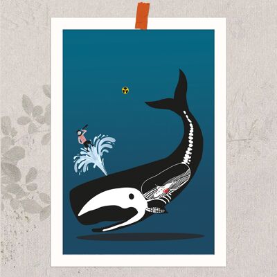 Baleine - Petite affiche, DIN A5
