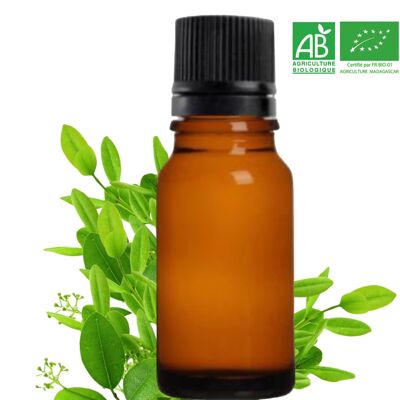 BIO - RAVINTSARA - Aceite esencial RAVINTSARA orgánico de Madagascar (10mL) empresa FRANCESA