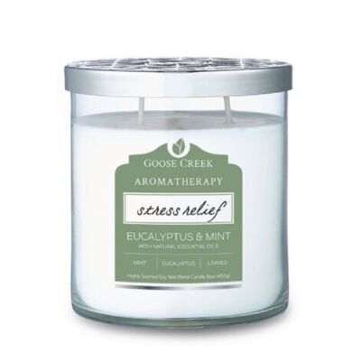 Eucalyptus & Menthe Goose Creek Candle® 453 grammes Aromathérapie 60 heures de combustion
