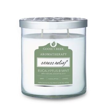 Eucalyptus & Menthe Goose Creek Candle® Aromathérapie 453 grammes jusqu'à 60 heures de combustion 1