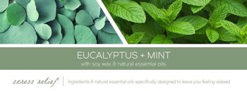 Eucalyptus & Menthe Goose Creek Candle® Aromathérapie 453 grammes jusqu'à 60 heures de combustion 2