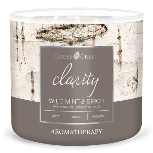 Wild Mint & Birch Goose Creek Candle® 411 grams Aromatherapy