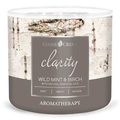 Wild Mint & Birch Goose Creek Candle® 411 Gramm Aromatherapie