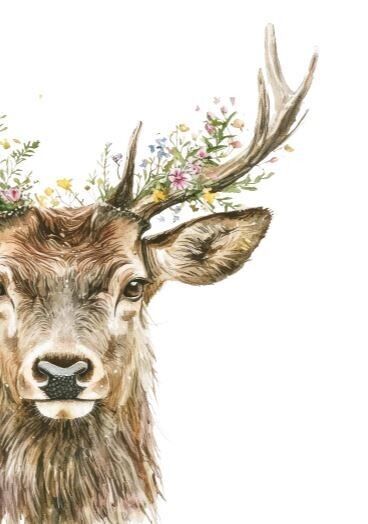 Nachhaltige Karte - Mein Hirsch