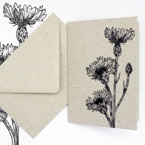 Minikarte aus Graspapier, Kornblume