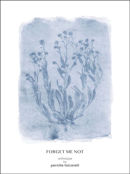 Forget-me-not blue 50x70 cm