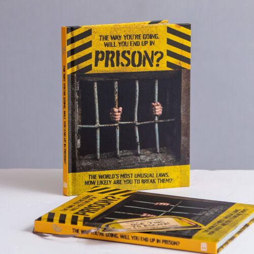 The Way You're Going, Will You End Up In Prison Book