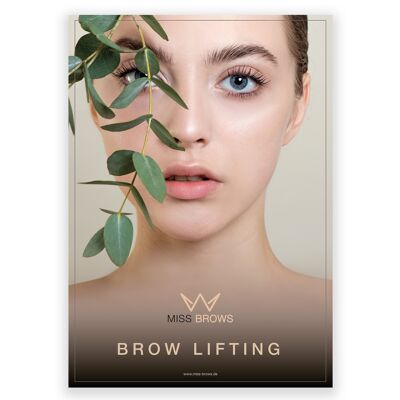 Motiv 1 / Brow Lifting