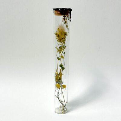 Dried Flowers Standing Tube Esperanza  with black wax