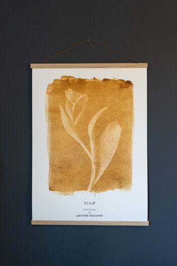 Tulipe ocre 70x100 cm 3