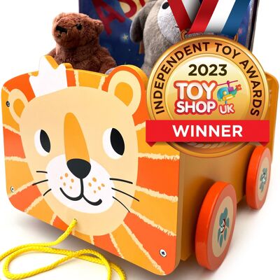 COFFRET À JOUETS À TIRAGE LION (Emballé à plat)