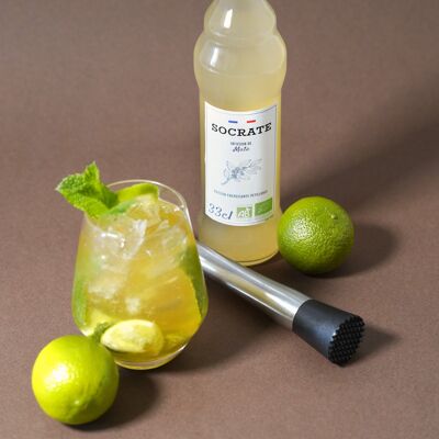 Sparkling Maté with Lemon and ORGANIC Citrus 33cl